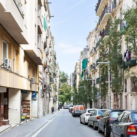 U-nique Radas Ii Barcelone